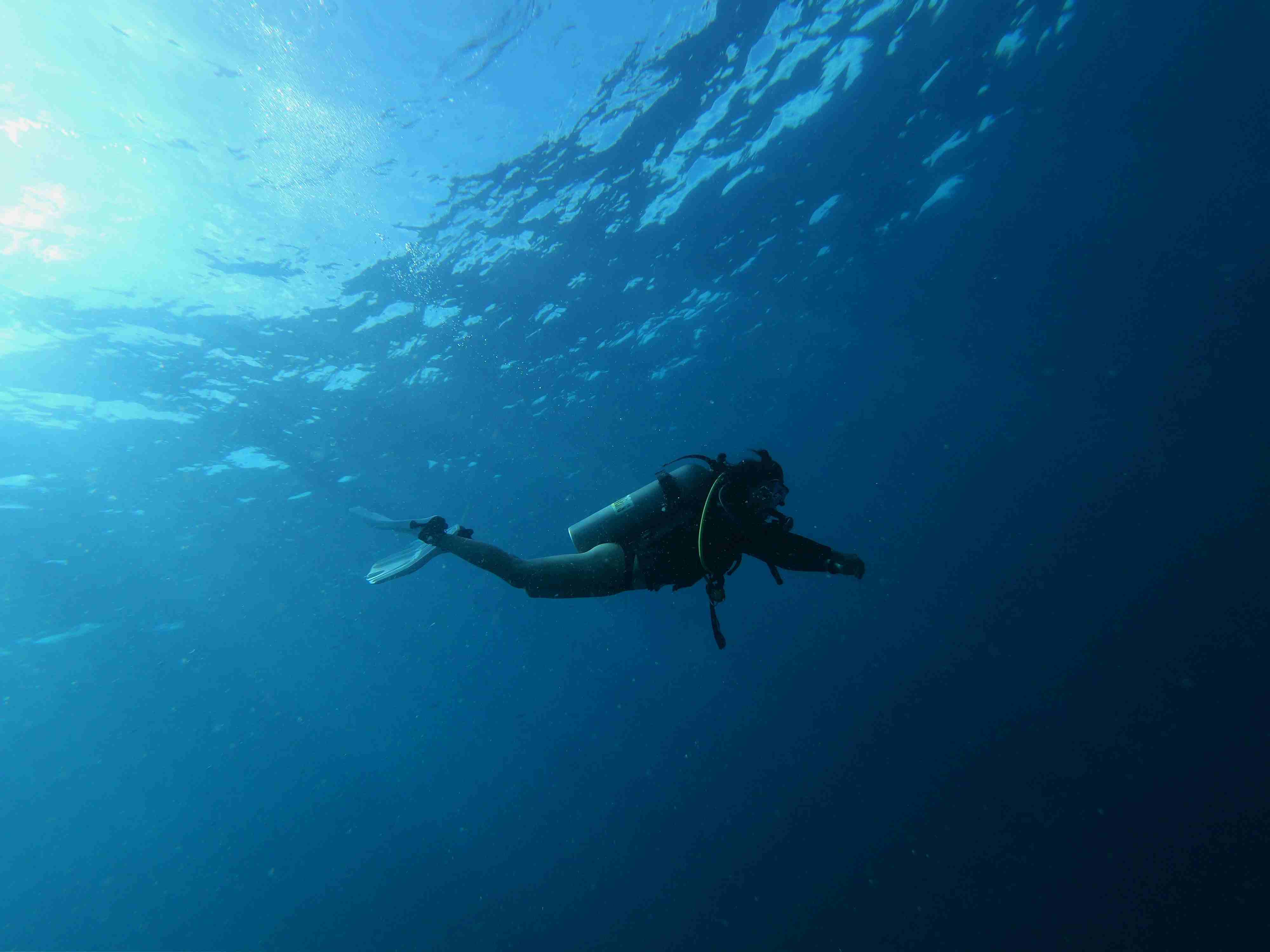 Divers above coral formations in the Red Sea