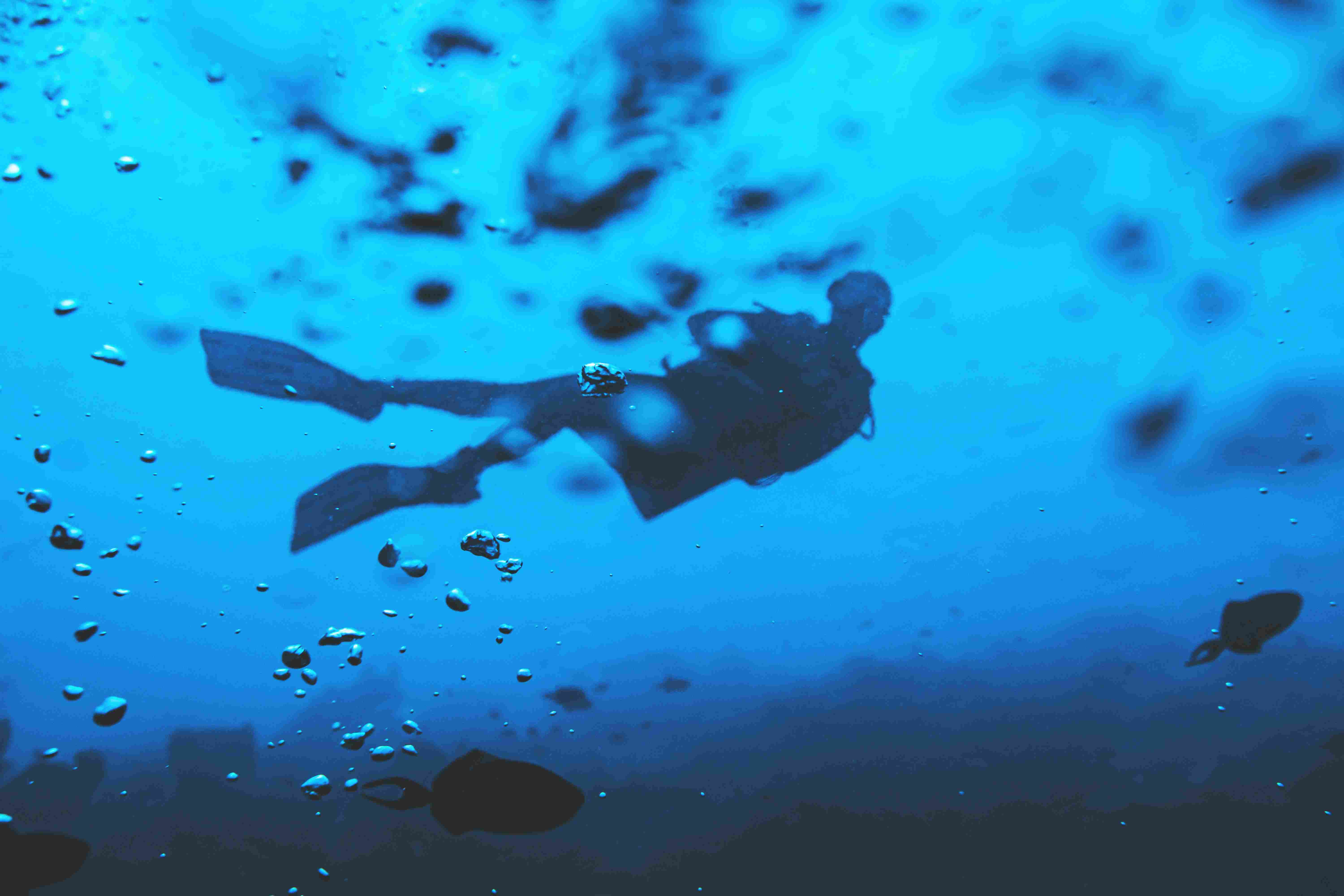 Premium diving moments in Egypt