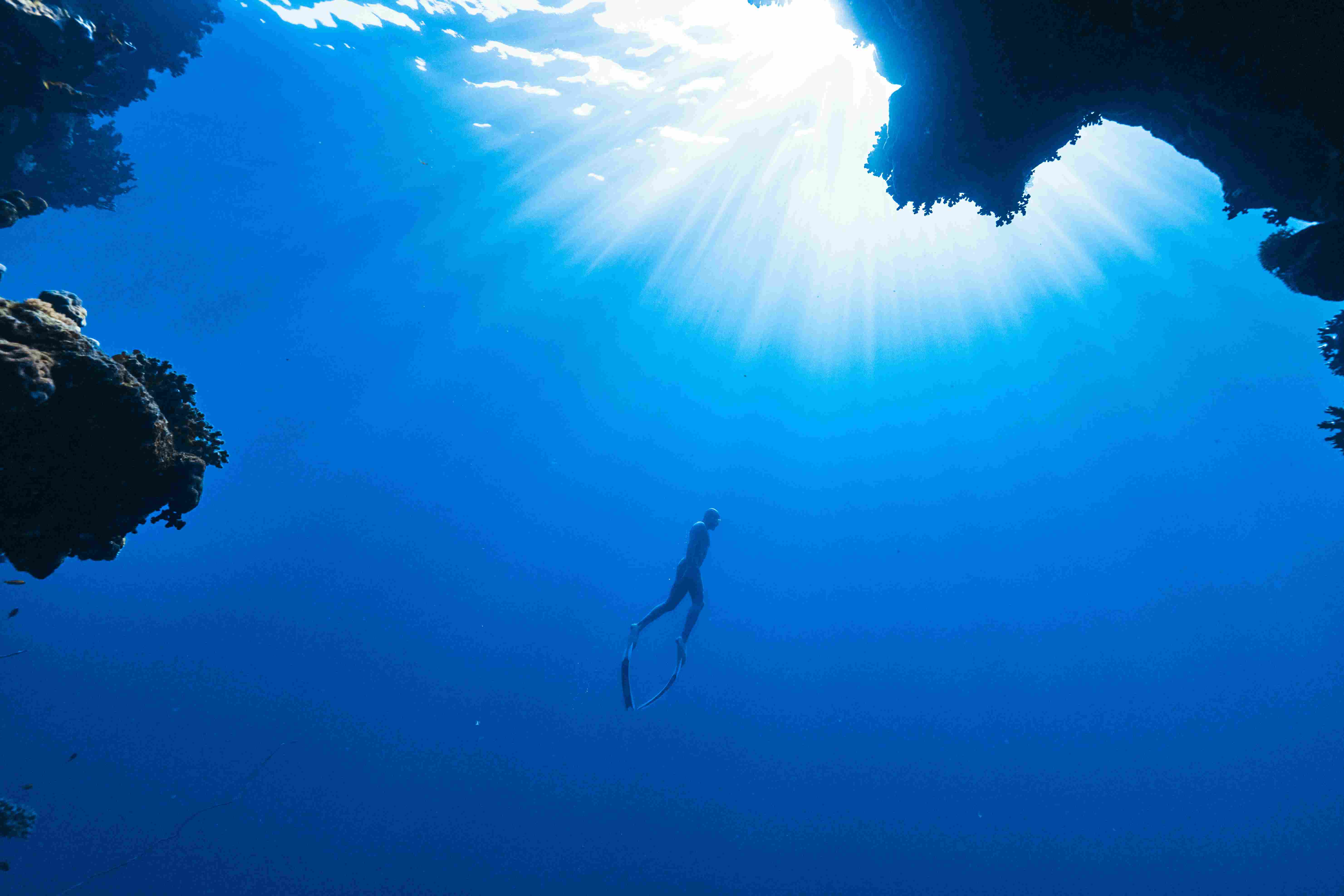 Premium diving vessel and onboard service in Egypt